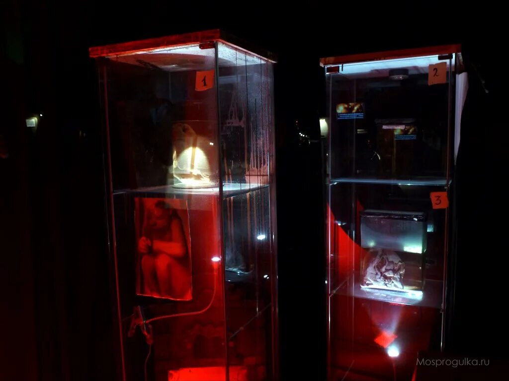 антропологический музей в москве (1879). кунсткамера на ввц москва фото. кунсткамера москва на вднх адрес. кунсткамера самые страшные экспонаты. антропологический музей в москве.