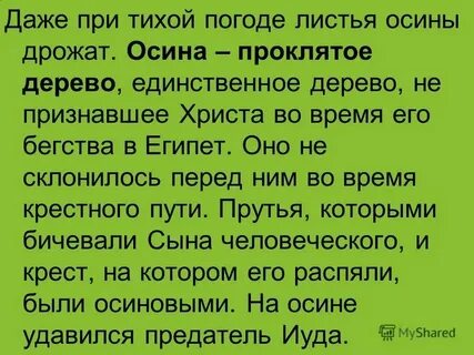 Осиновый лист тихо падает с дерева словосочетание