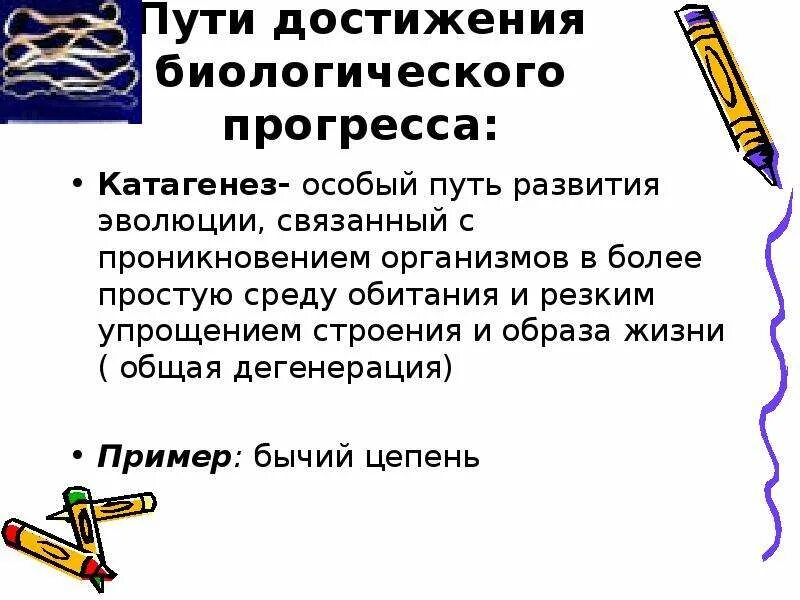 Пути достижения биологического прогресса. Макроэволюция пути достижения биологического прогресса. Пути достижения биологического прогресса аллогенез. Пути достижения биологического прогресса примеры. Каковы пути достижения биологического прогресса