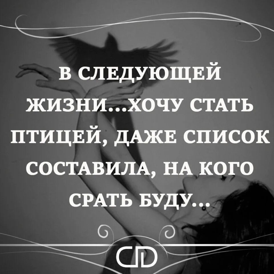 В следующей жизни хочу стать птицей даже список. В следующей жизни хочу стать птицей даже список составила. В следующей жизни буду птицей. В следующей жизни.