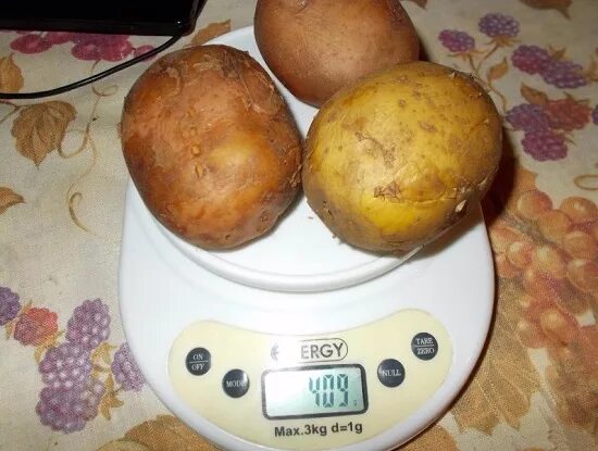 Вес 1 картофеля. 100 Грамм картофеля. 400 Грамм вареной картошки. 300 Грамм картошки. Вес средней картофелины отварной.