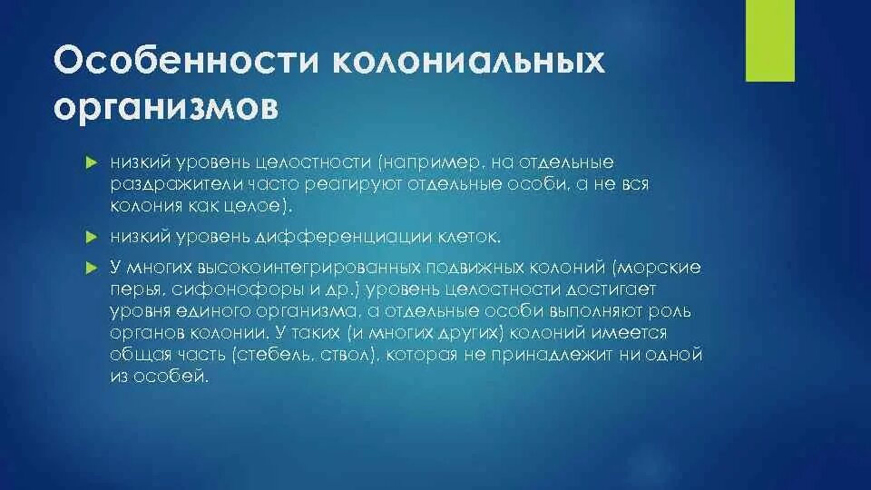 Особенности строения колониальных организмов. Характеристика колониальных организмов. В чем особенности колониальных организмов. Колониальные организмы признаки.