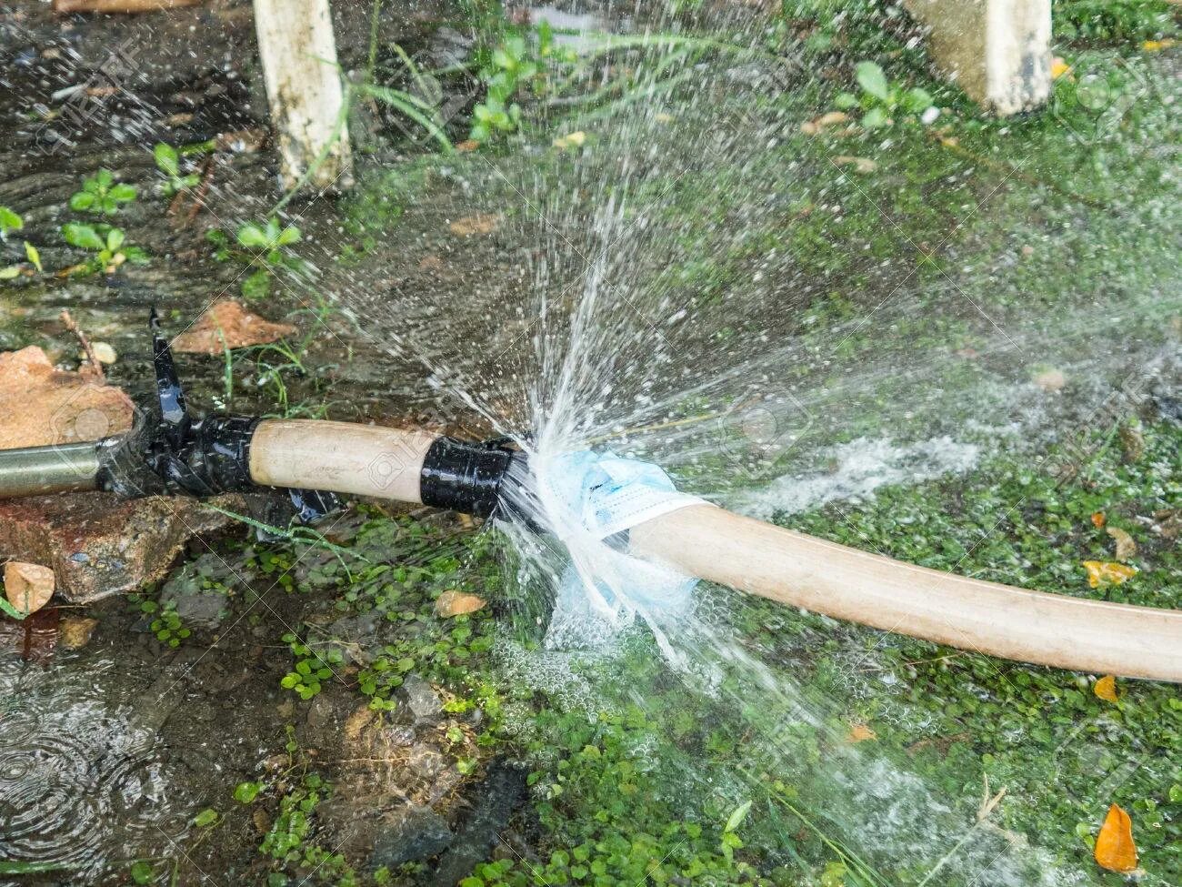 Засунули шланг и включили воду. Шланг с напором воды. Струя из шланга. Вода из шланга. Напор воды из шланга.