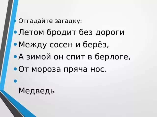 Песня между сосен. Летом бродит без дороги между сосен и берез а зимой он. План изложения в берлоге. Изложение в берлоге. Летом бродит без дороги между сосен.