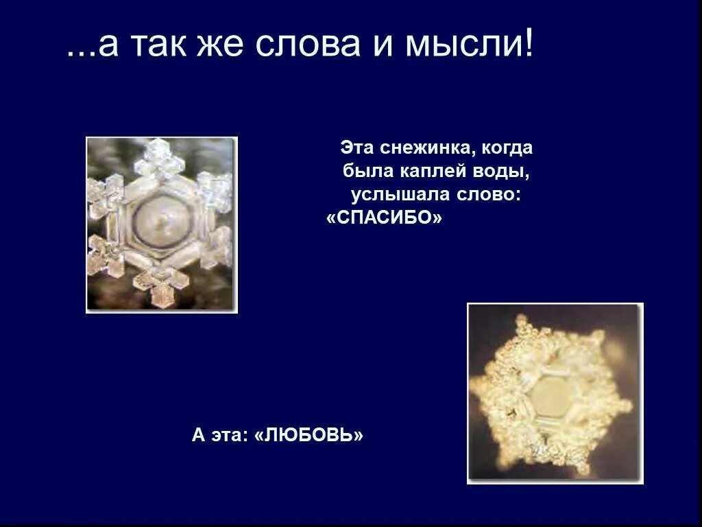 Слышишь воду. Слово спасибо на снежинке. Когда Снежинка слова. Вода слышит презентация. Реакция воды на слово спасибо.