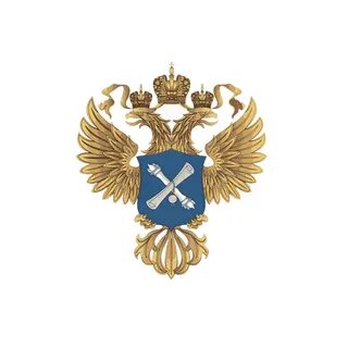 Органы ксп