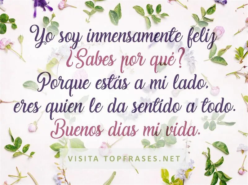 Papi de mi vida