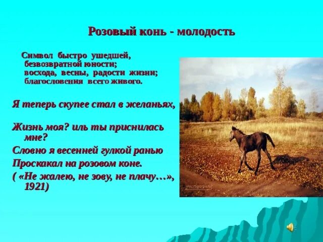 Конь с розовой презентация. Стихи проскакал на розовом коне. Стих жизнь моя Иль ты приснилась мне. Розовый конь Есенин.