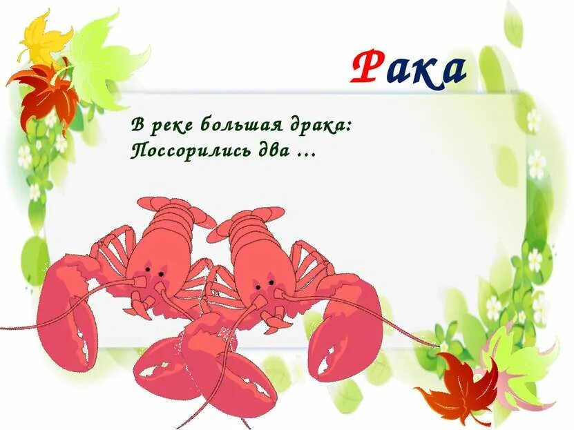 Стихи про рака, загадки. Загадки о рачки для детей. Загадка про Рачков. Стих про онкологию детей.