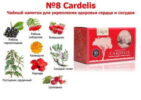 Шиповник повышает давление