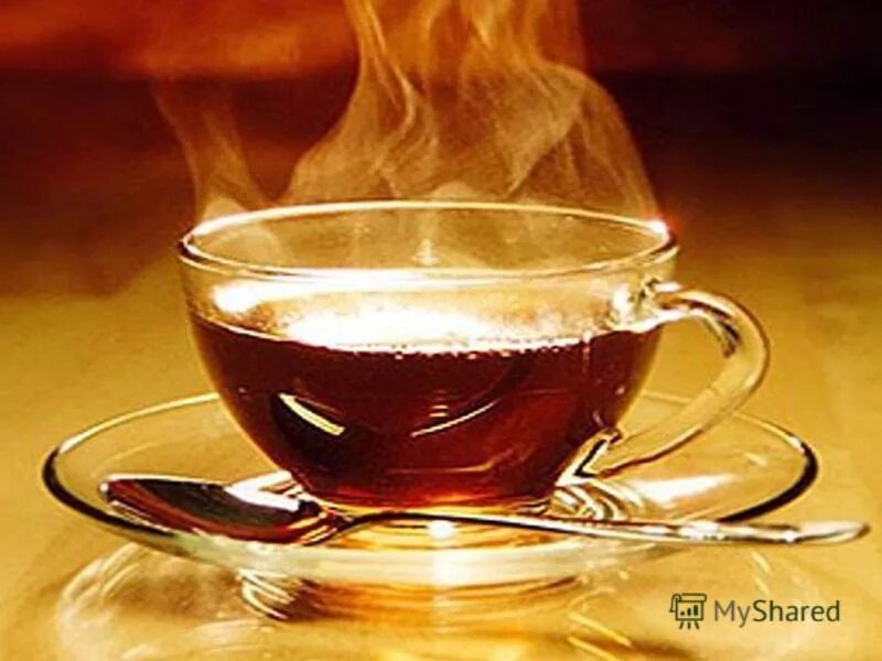 химические свойства чая. пейте чай и будьте здоровы. брошюра про чай. полезные свойства чая. чай пить здоровым быть.