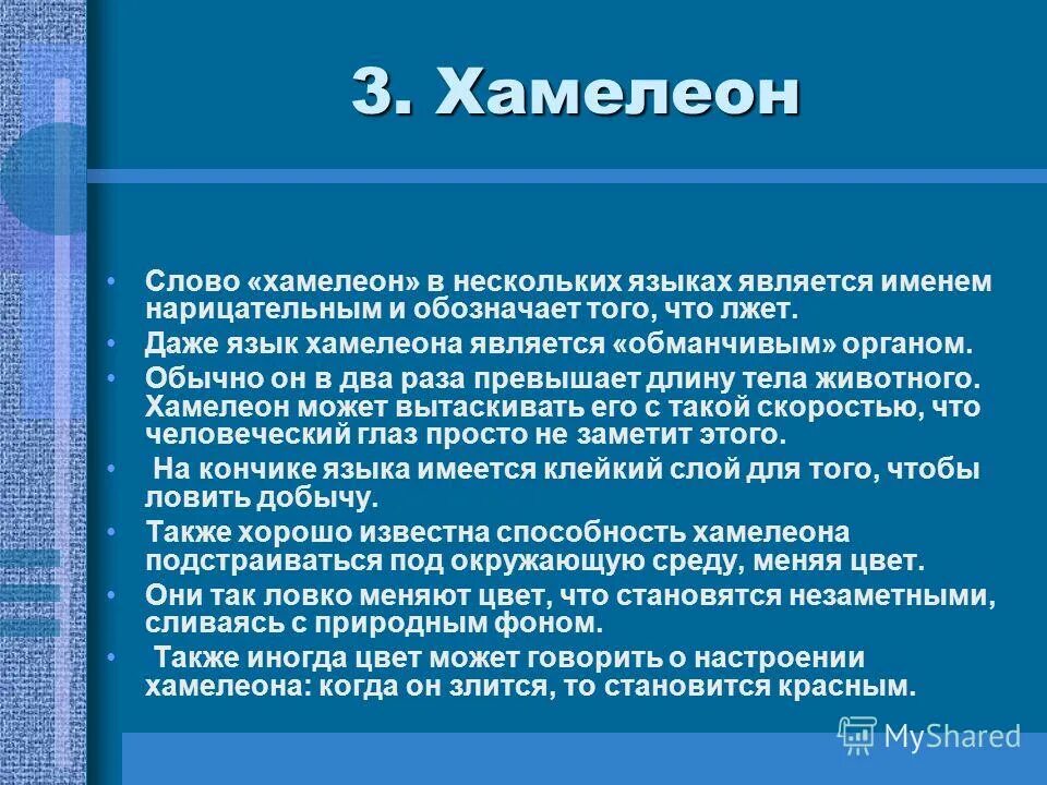 Какие значения слова хамелеон вы знаете. Какие значения слова хамелеон вы знаете