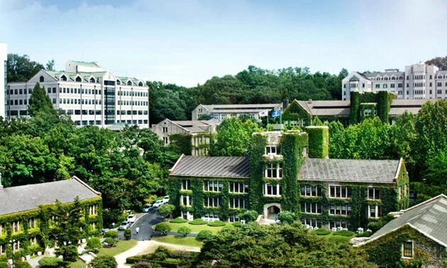 Yonsei факультеты. Енисей университет Корея. Университет Йонсей Южная Корея. Университет ёнсе в Корее. Университет Йонсей Южная Корея факультеты.