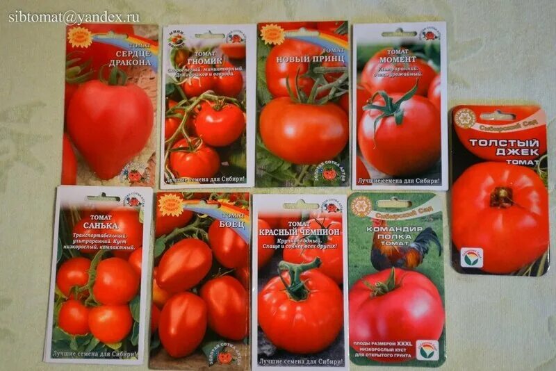 томат дракон фото. томат сердце дракона. томат дракон характеристика. черный дракон помидор. помидоры сердце дракона.