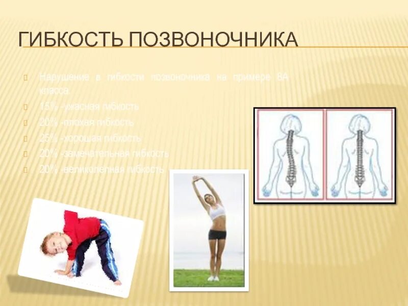 Подвижные отделы позвоночника. Упражнения на гибкость для поясницы. Развитие гибкости позвоночника. Гибкость позвоночника человека достигается за счёт соединения. Измерение гибкости.