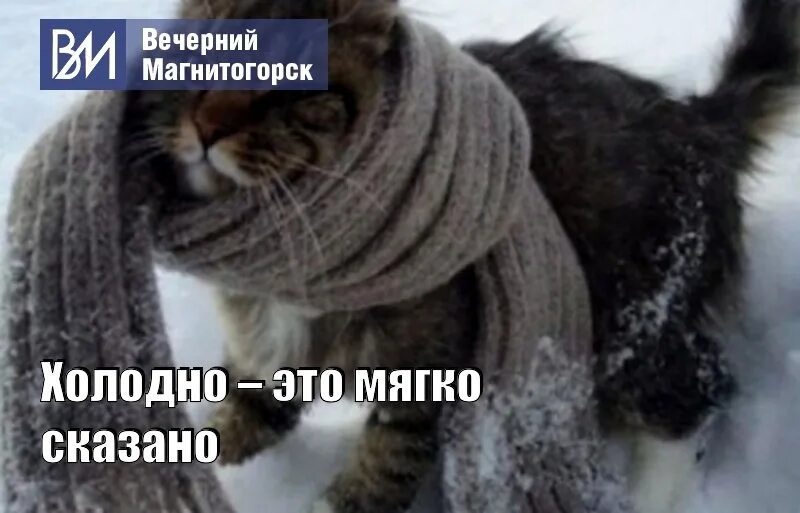 Не тепло не холодно в предложении. Холодно. очень холодно. как холодно картинки. холодно открытки прикольные.