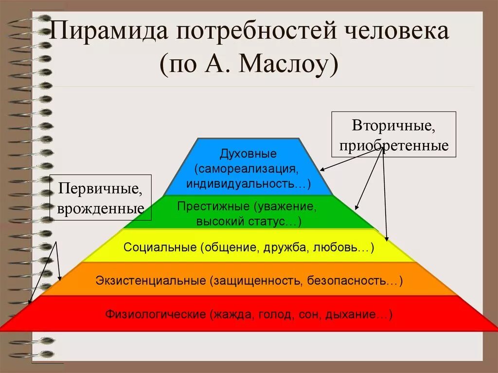 Почему ее относят к социальным потребностям