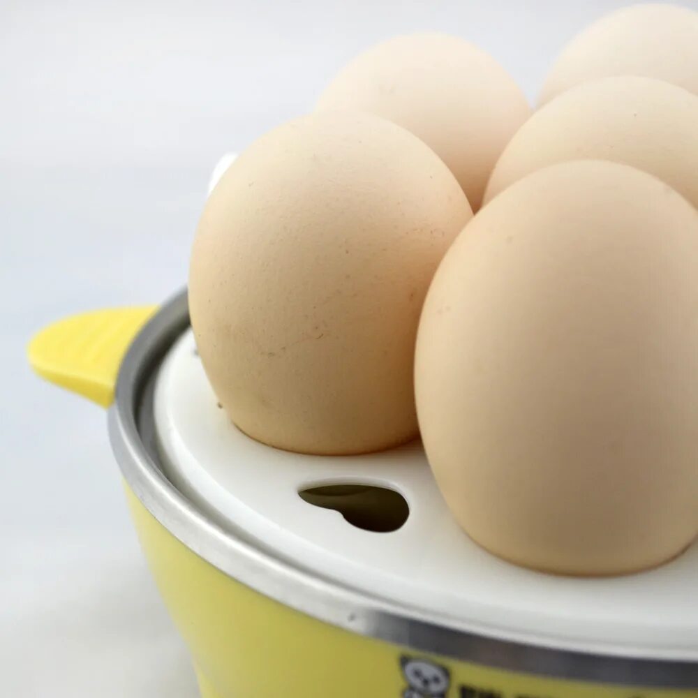 1 пара яиц. шейкер lp lpr004-ss. квадратные яйца. яйцо — легкая добыча для них. мордочки на яйцах.