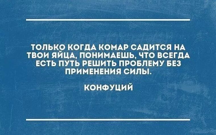 Этих и некоторых других проблем. Только когда комар сядет тебе на яйца. Только когда комар садится на твои яйца Конфуций картинка. Только когда комар садится на яйца Конфуций. Только когда.