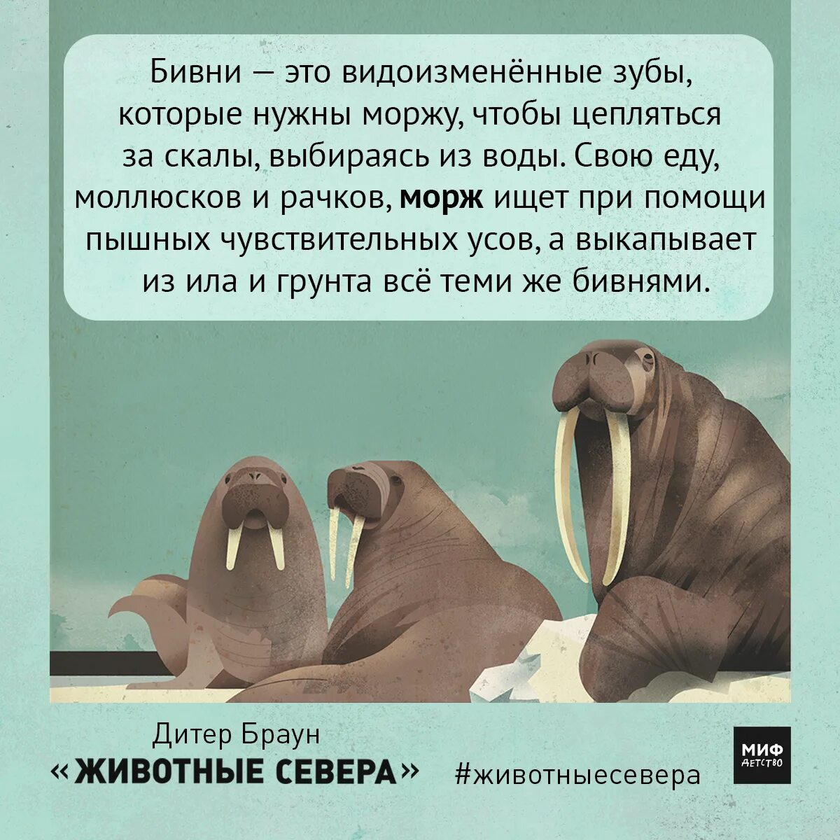 Мифы о животных