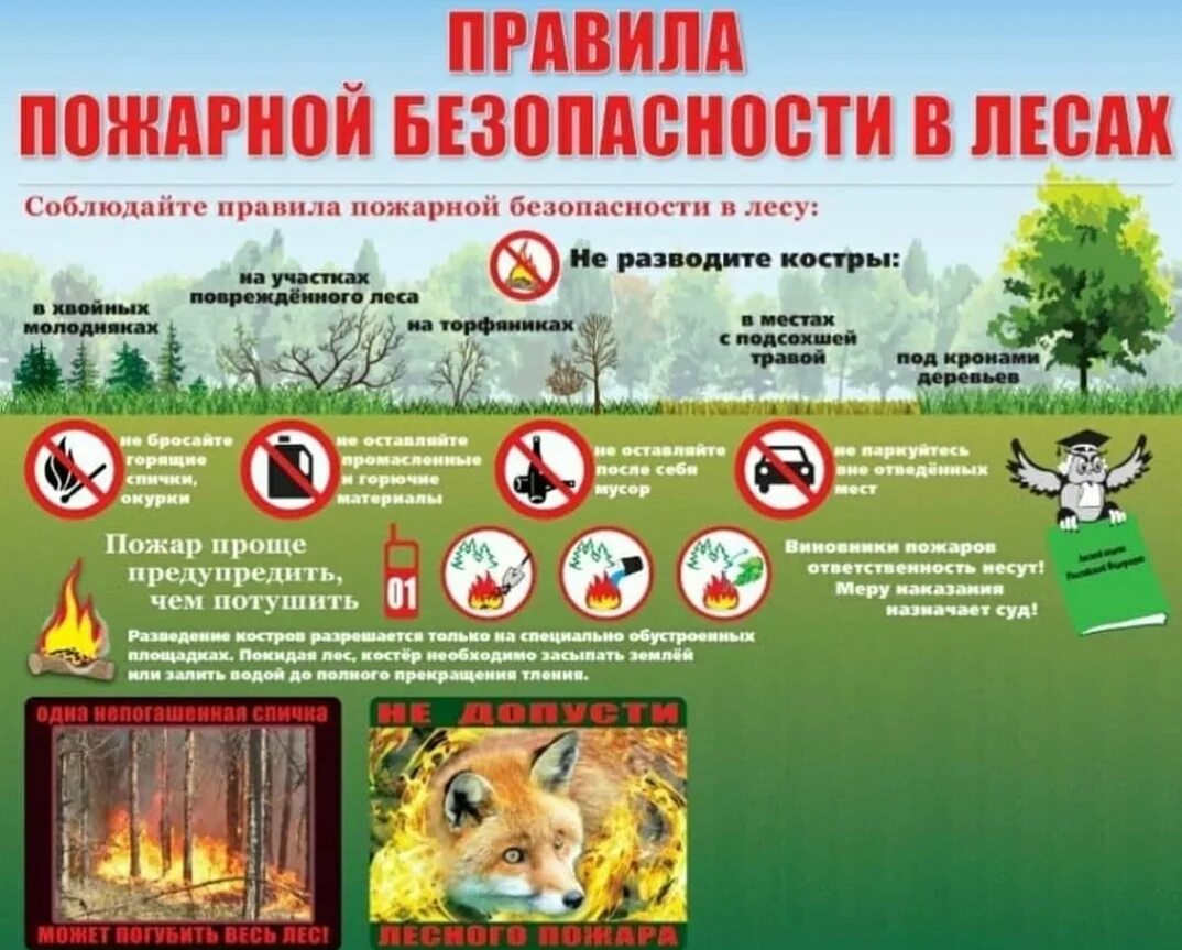 Правила пожарной безопасности запрещают. Памятка противопожарная безопасность в лесу. Правила Лесной пожарной безопасности. Памятка берегите лес от пожара для детей. Требования пожарной безопасности в лесах.