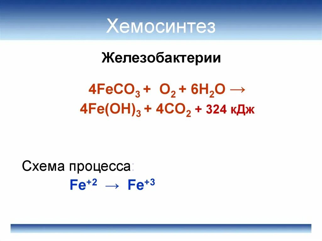 Основные реакции хемосинтеза. Химические реакции хемосинтеза. Уравнение хемосинтеза процесса. Этапы хемосинтеза нитрифицирующими бактериями. Источник углерода в хемосинтезе.