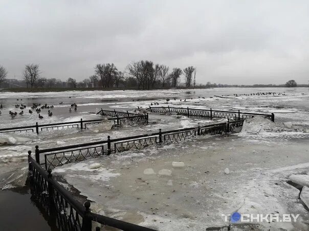 Уровень воды в днепре могилев сегодня. Разлив Днепра в Могилеве 2023. Днепр разлился в Могилеве 2023. Разлив Днепра в Могилеве 2023 год. Могилев разлив Днепра.