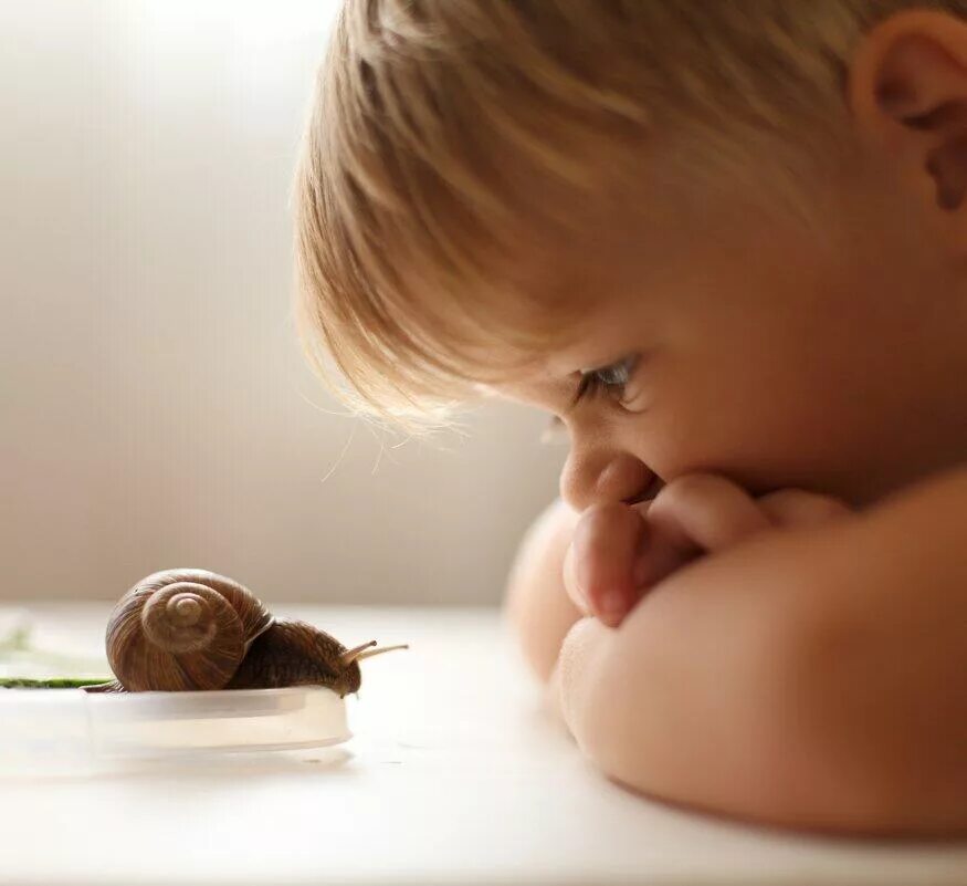 Человек ленится. Ребенок флегматик. Младшие школьники. Фото интернет поганой. Утомляемость школьника.