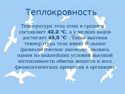 Почему птицы нормально функционируют при температуре 40