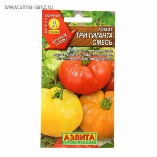 Томат 3