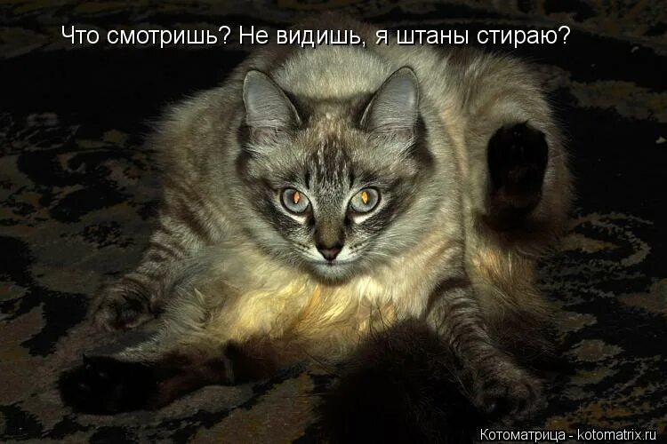 Высказывания про двери. Надо постучать. Таблички на дверь в комнату подростка. Не надо стучаться. Стукало на входную дверь.