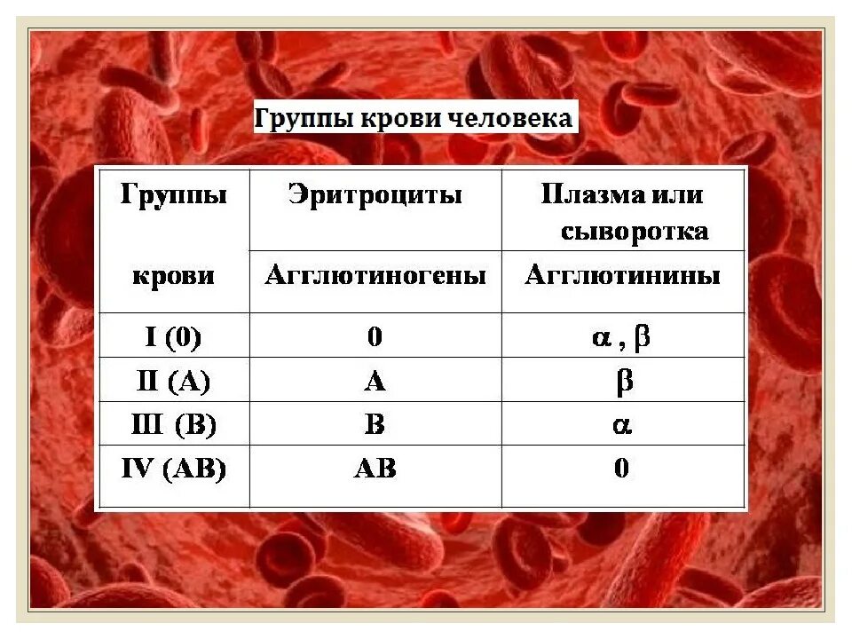 Современное группа крови