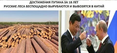 Прибыл он за тем чтобы продать леса