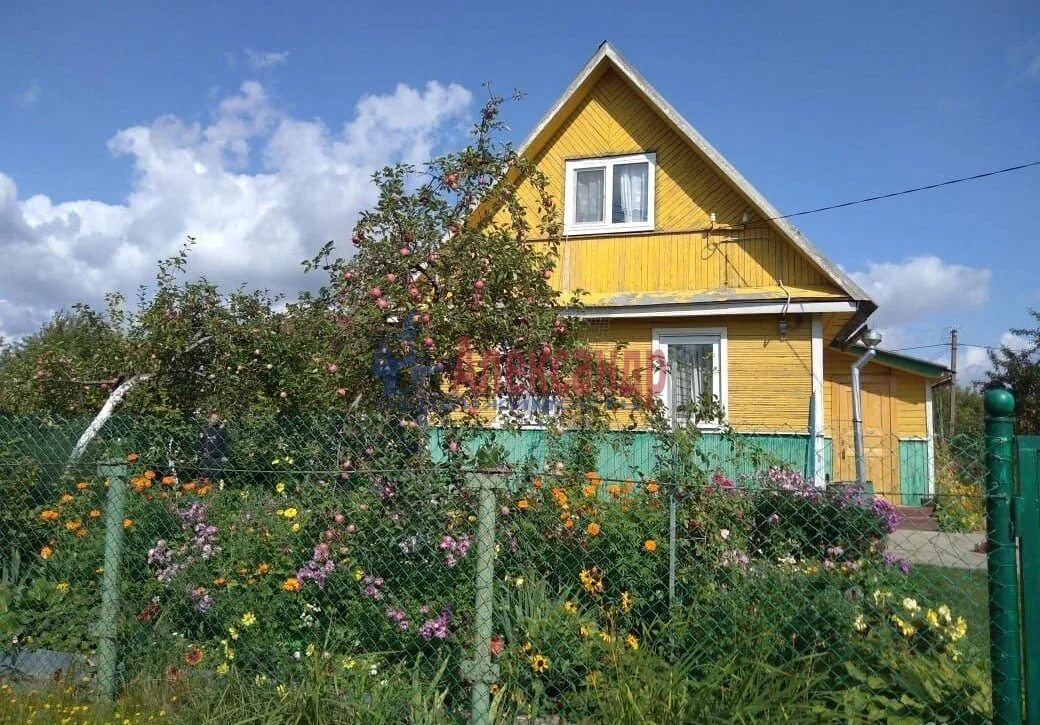 Дача никольское тосненский. Дачный домик Поркузи. Сад СНТ Озерки. Тосненский район массив Поркузи СНТ Озерки. Дачный дом Поркузи Тосненский район.