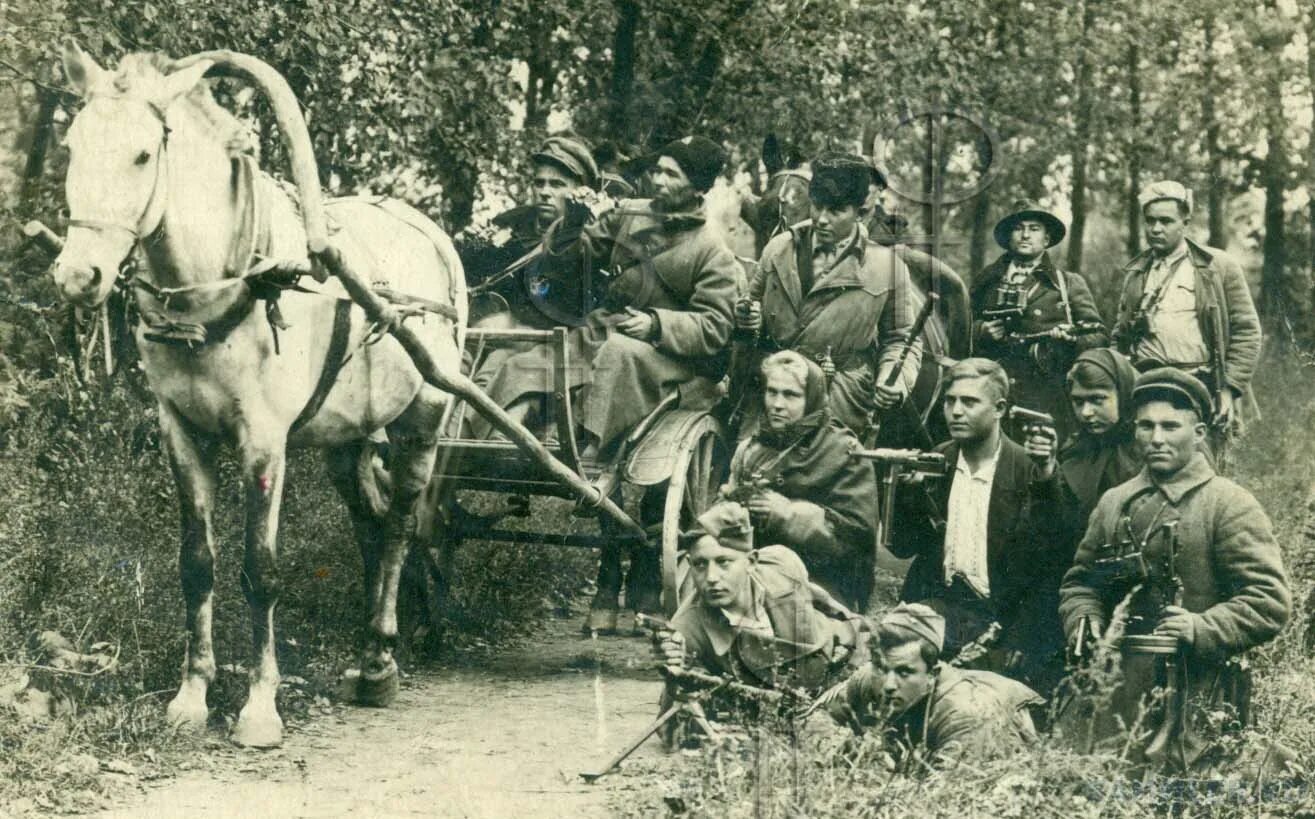 партизанское движение 1941-1945. партизаны 1942. партизаны великой отечественной войны. партизанские отряды 1941. белорусские партизаны в годы великой отечественной войны.