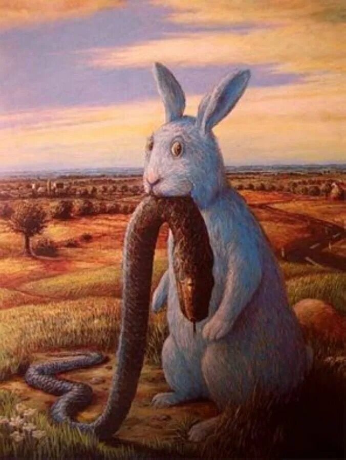 Rabbit snake 3