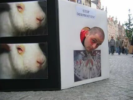 Запретить тестирование