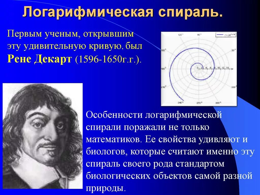 Формула построения спирали. Логарифмическая спираль в искусстве. Логарифмическая спираль ее свойства. Декарт логарифмическая спираль. Логарифмическая спираль презентация.