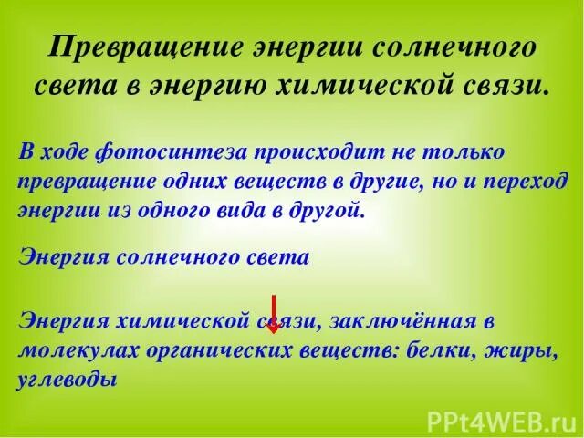 В какую энергию превращается световая энергия. Превращение световой энергии в химическую. Превращение солнечной энергии в энергию химических связей. Превращение солнечной энергии в химическую. Превращение солнечной энергии в химическую энергию.