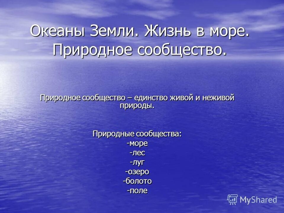 Сообщество океанов. Природное сообщество море. рассказ о природном сообществе море. сообщества морей и океанов.