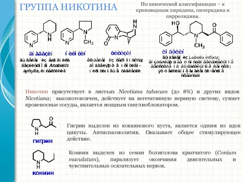 Никотин биохимия. Никотин химические свойства реакции. Химическая структура никотина. Никотин химические реакции. Никотин структурная формула.