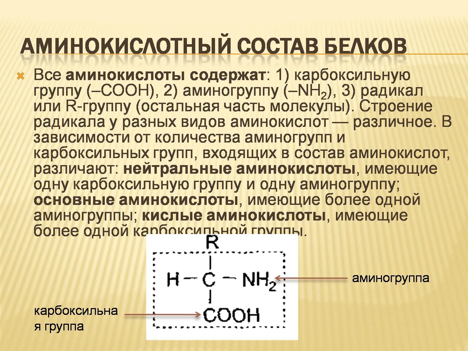 Белки функциональные группы. Аминокислоты входящие в состав белков их строение. Белок источник аминокислот. Строение белка аминогруппа радикал карбоксильная. Строение аминокислот входящих в состав белков биохимия.