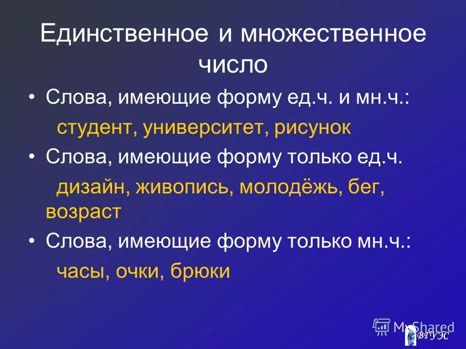 Множественное число слов дом. Слова в форме единственного числа. Только единственное число. Формы единственного и множественного числа. Единственное или множественное число.