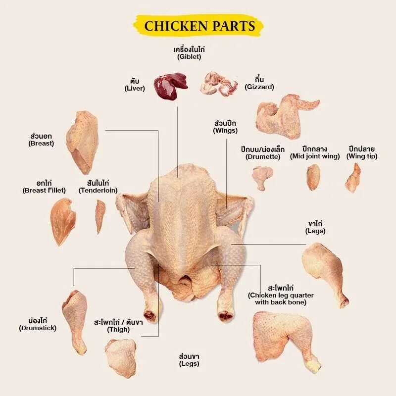 Какие части курицы лучше. Схема разделки курицы. Схема тушки курицы. Схема разделки тушки птицы. Части курицы название.