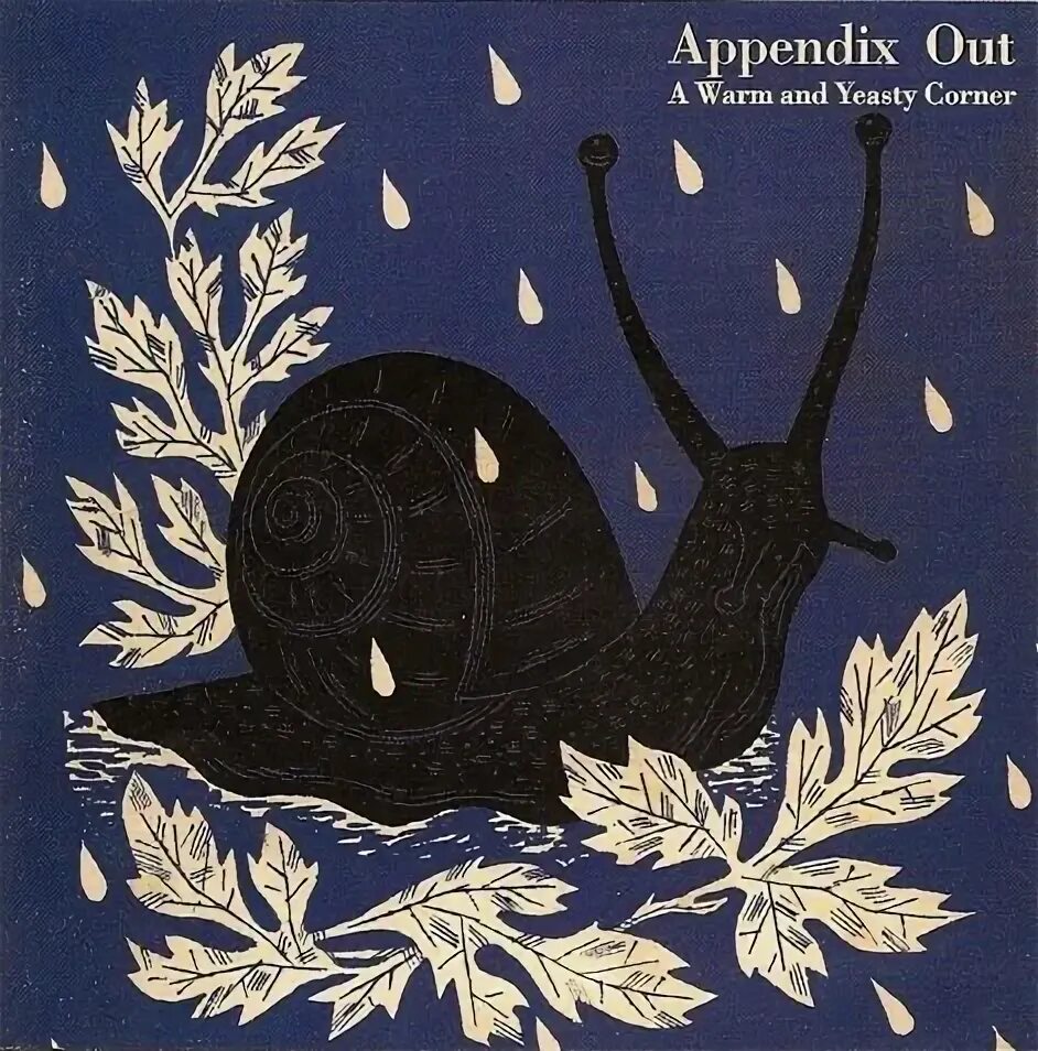 Аппендикс бесполезный орган. Appendix out. Метро пикадилли карта. Самый бесполезный орган в теле человека. Doctors write joke.