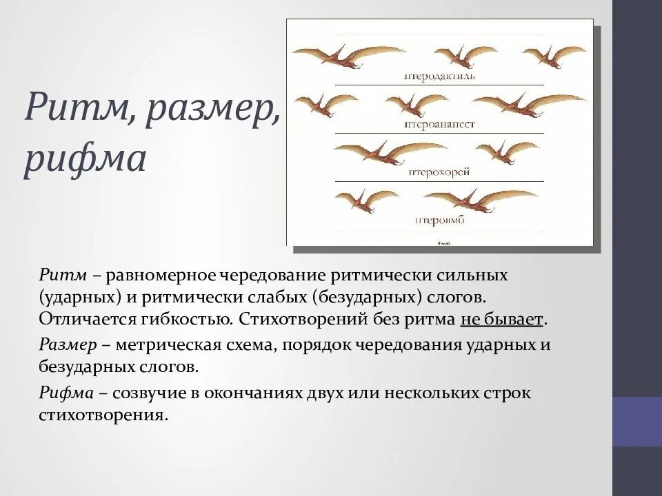 Что такое ритм в стихотворении. Типы ритма в стихотворении. ритм стиха виды. как определить ритм стихотворения. ритм стиха стихотворный размер рифма.