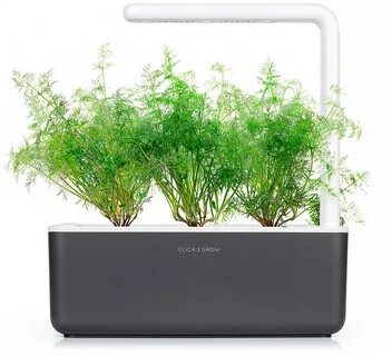 Plants pack