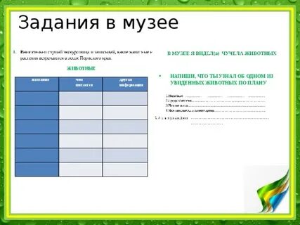 Музей задания