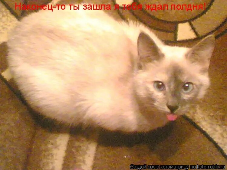 Полдня жду. Весеннее окно. Полдня жду. Зимнее окно. Открытки с чаепитием.