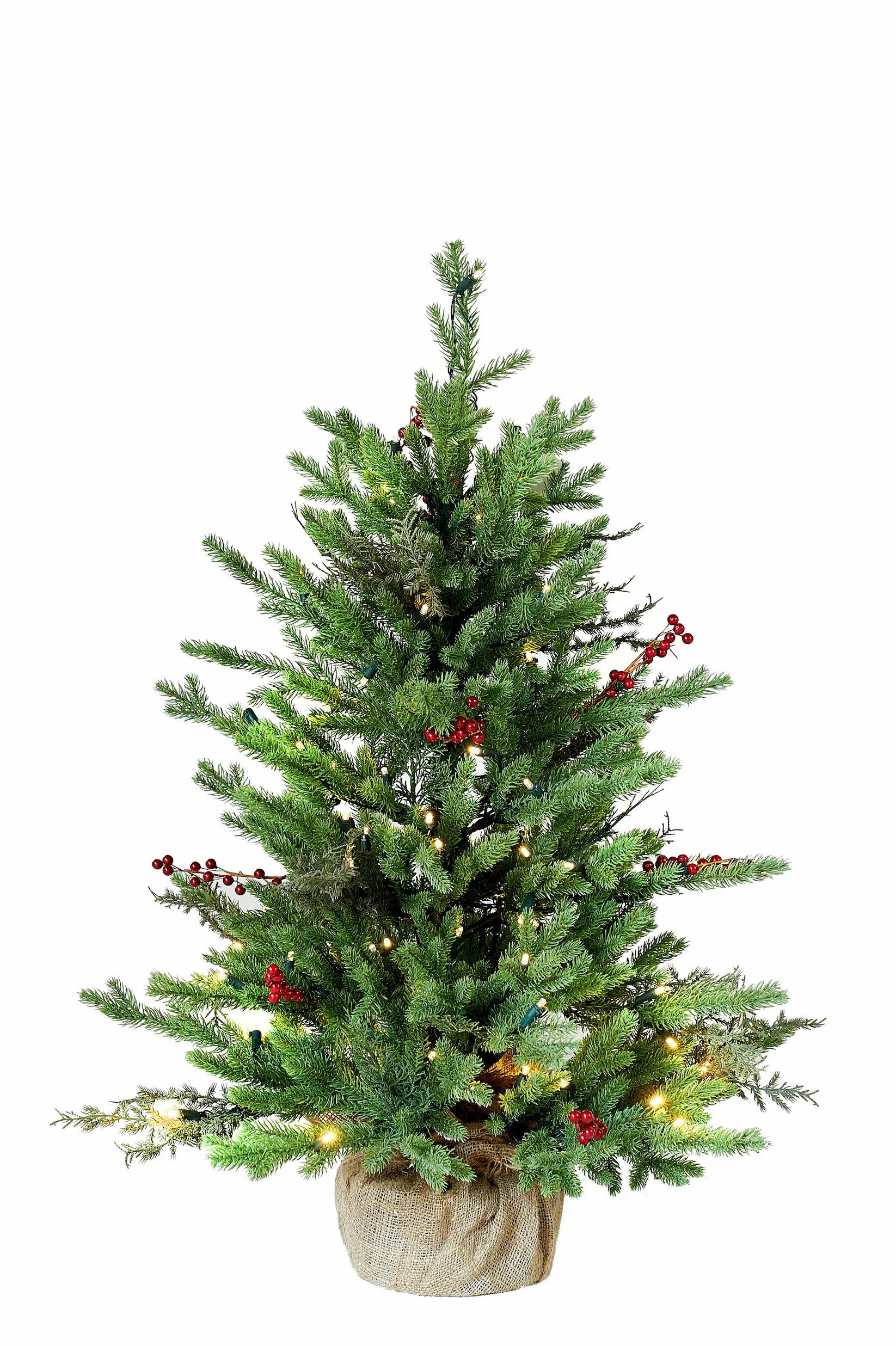 Holiday trees. Новогоднее дерево. Holiday trees. Новогодняя елка на белом фоне. Рождественская ель.